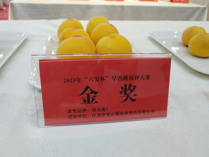黄金蜜7号桃甜黄桃黄桃批发产地直供全国各地代发