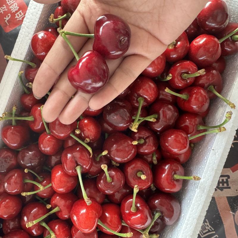 烟台栖霞大樱桃