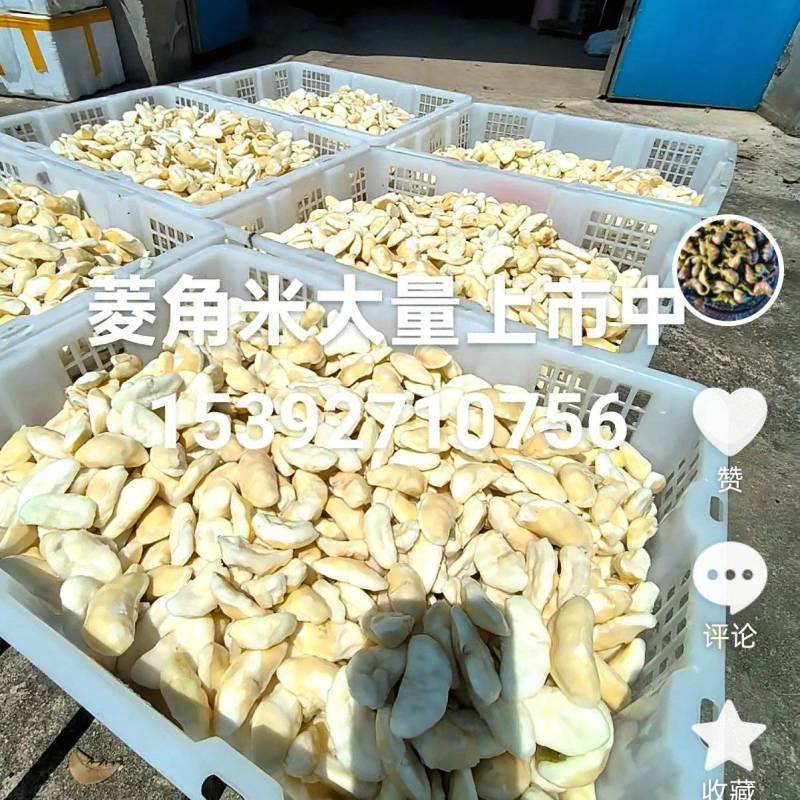 菱角米