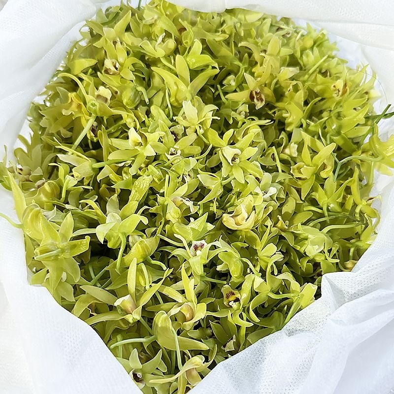 石斛花石斛花干石斛花批发支持一件代发