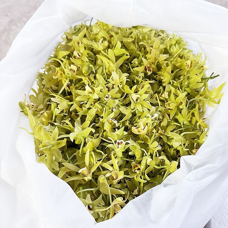 石斛花石斛花干石斛花批发支持一件代发