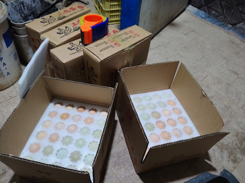 散养五黑一绿鸡鸡蛋