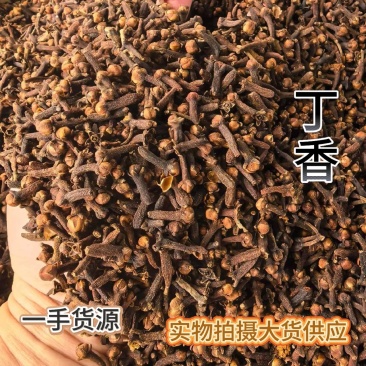 丁香广西特级公丁香丁香香料大红丁香广西香料雄丁香钓鱼公丁