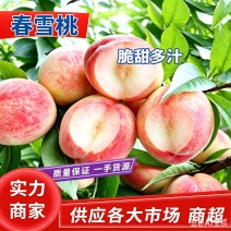 桃子/春雪春蜜毛桃/美佳毛桃/可发样品电话联系