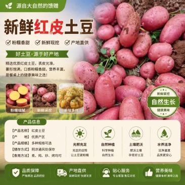 云南土豆/红皮土豆/合作88/产地货源/全国供应