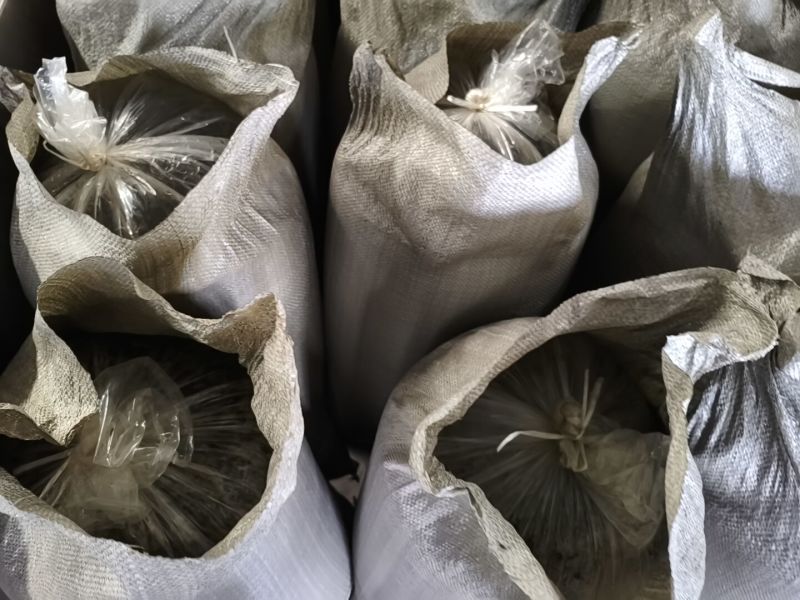 常年大量精品雪菜