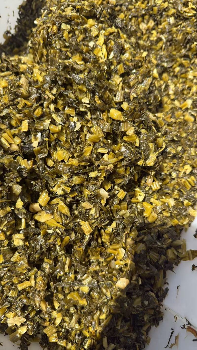 常年大量精品雪菜