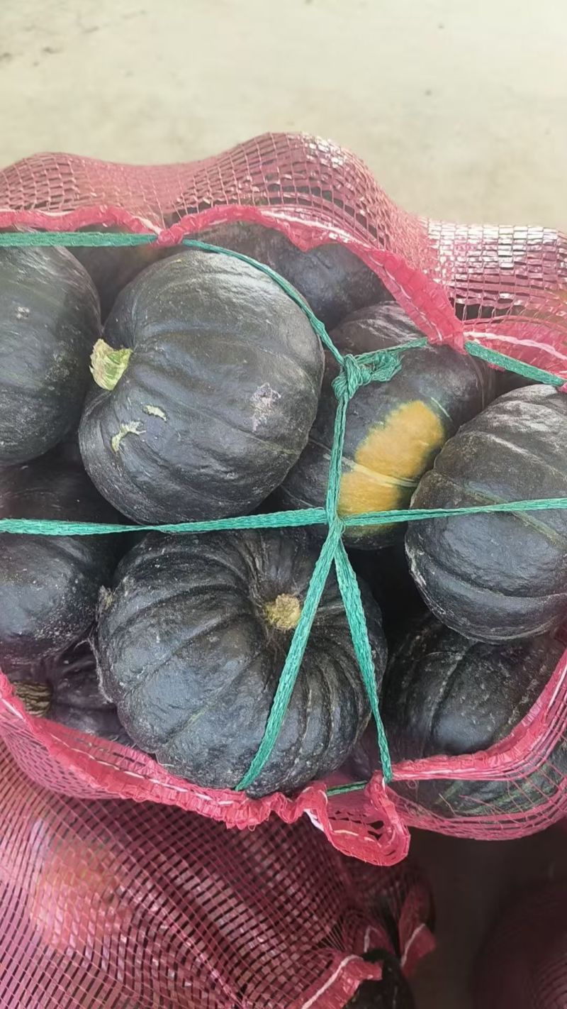 陕北精品贝贝南瓜，物美价廉，大量供应电商平台