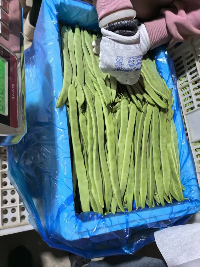 （扁豆）山西扁豆/大量供应/保质保量/专业代办团队