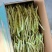 （白芸豆）白不老白芸豆/青芸豆/保质保量/全国供应批发