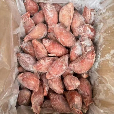 中号羊宝
