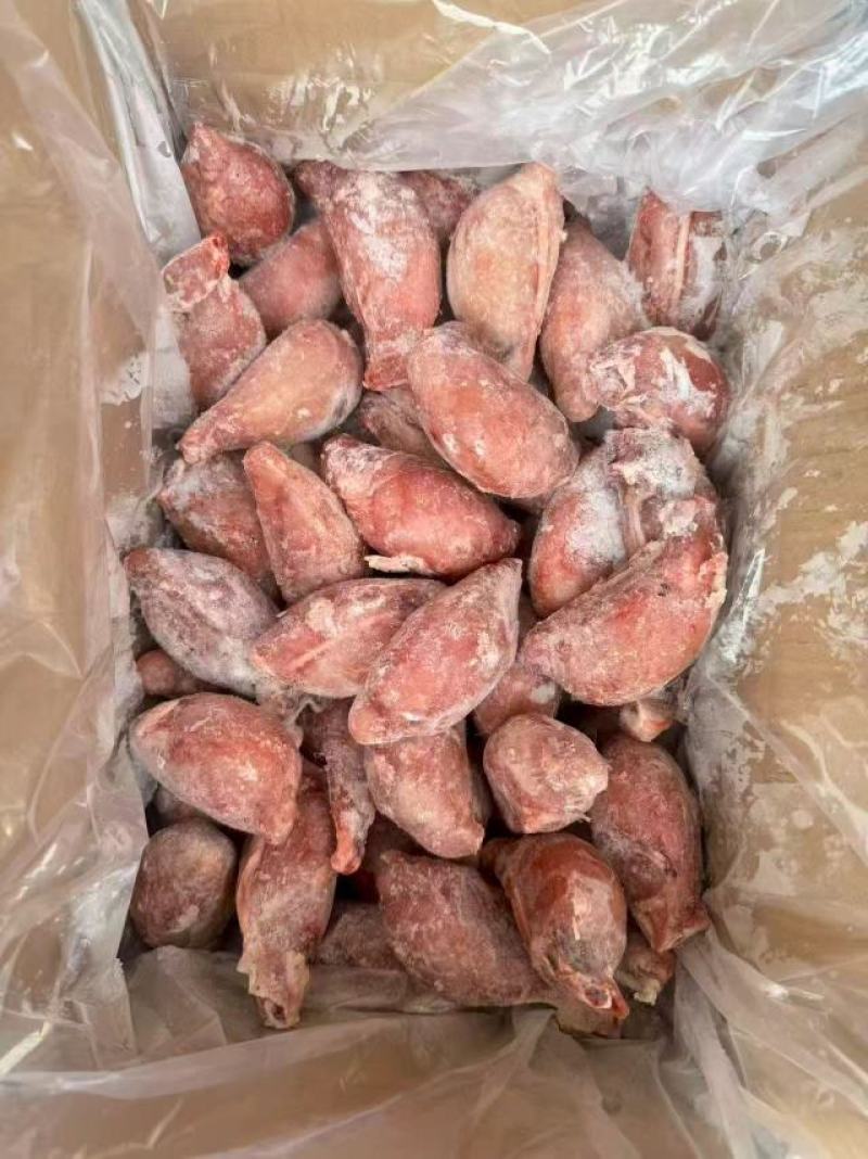 中号羊宝