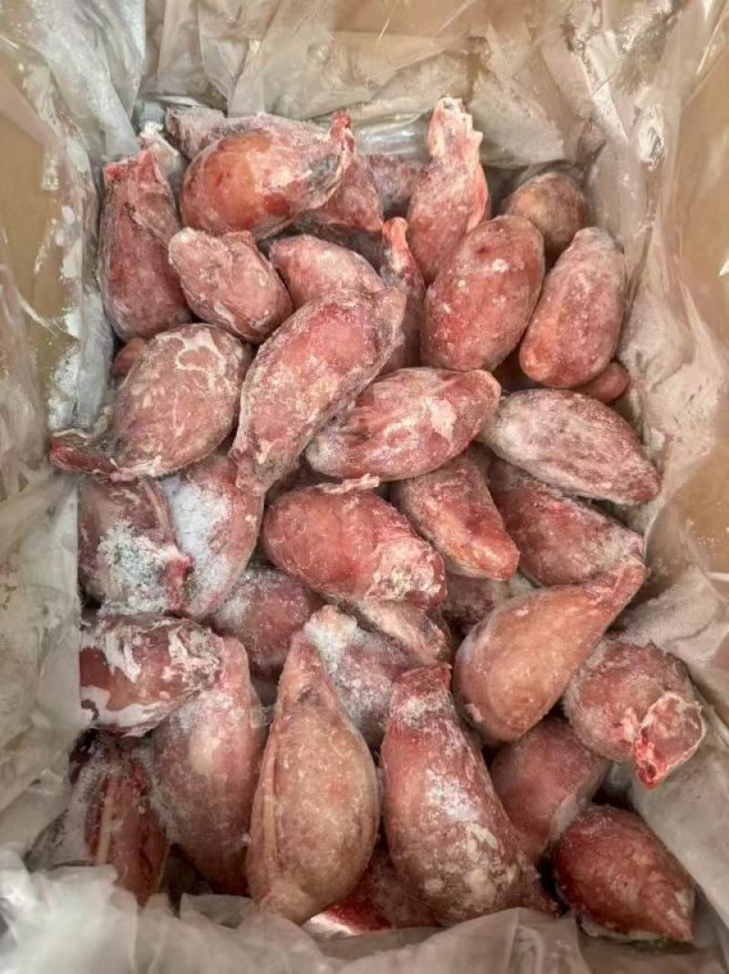 中号羊宝