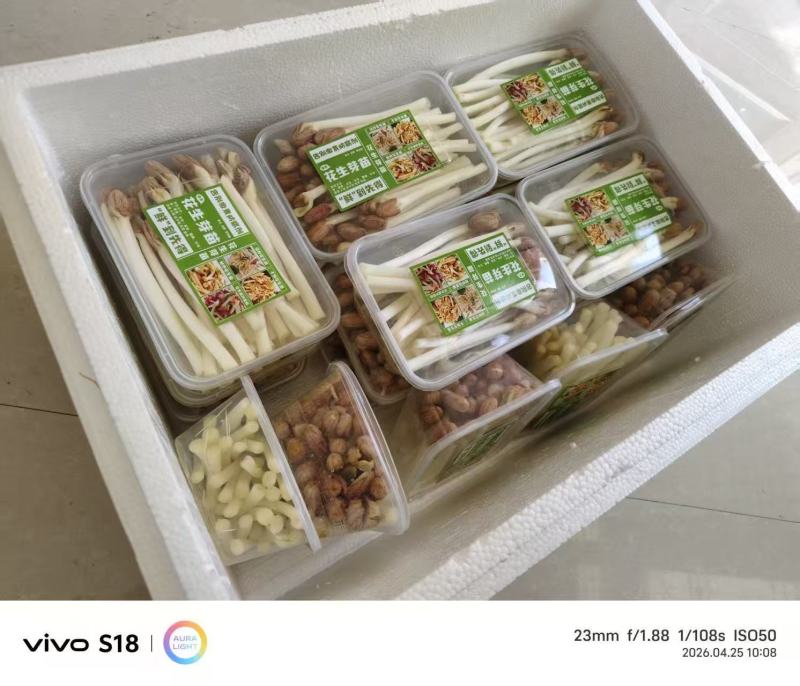 精品花生芽