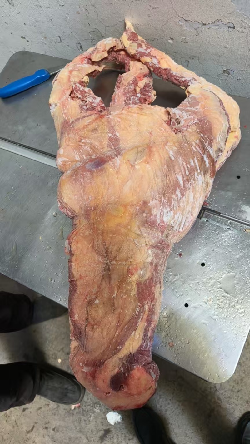 【牛胸叉】黄牛的胸骨寸排！满肉超大厚实！手续全免费加工！