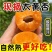 山东产地金太阳杏大量上市价格便宜