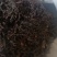 【精品】薇菜干货大量供应一手货源价格好谈欢迎来电
