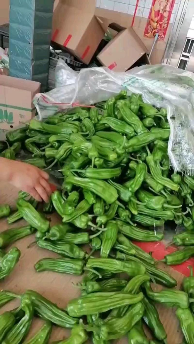 芜湖椒