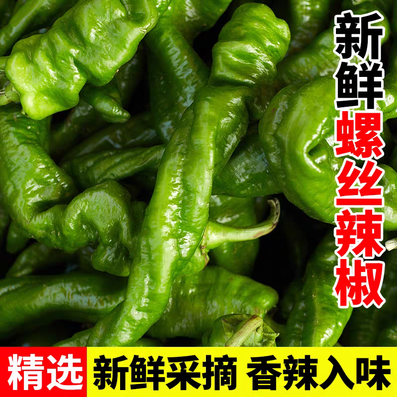 （宁夏螺丝椒）珑椒/各种鲜辣椒/产地直发/保质保量发货