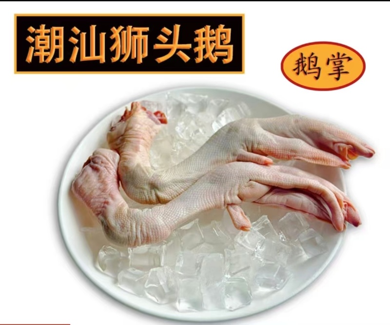 精品鹅掌鹅爪大号货源充足品质保证欢迎咨询