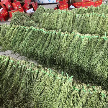 云南大理贡菜干产地直供自家工厂量大从优