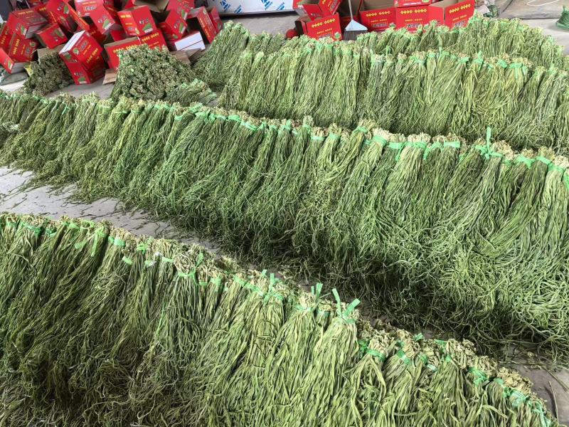 云南大理贡菜干产地直供自家工厂量大从优