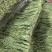 云南大理贡菜干产地直供自家工厂量大从优