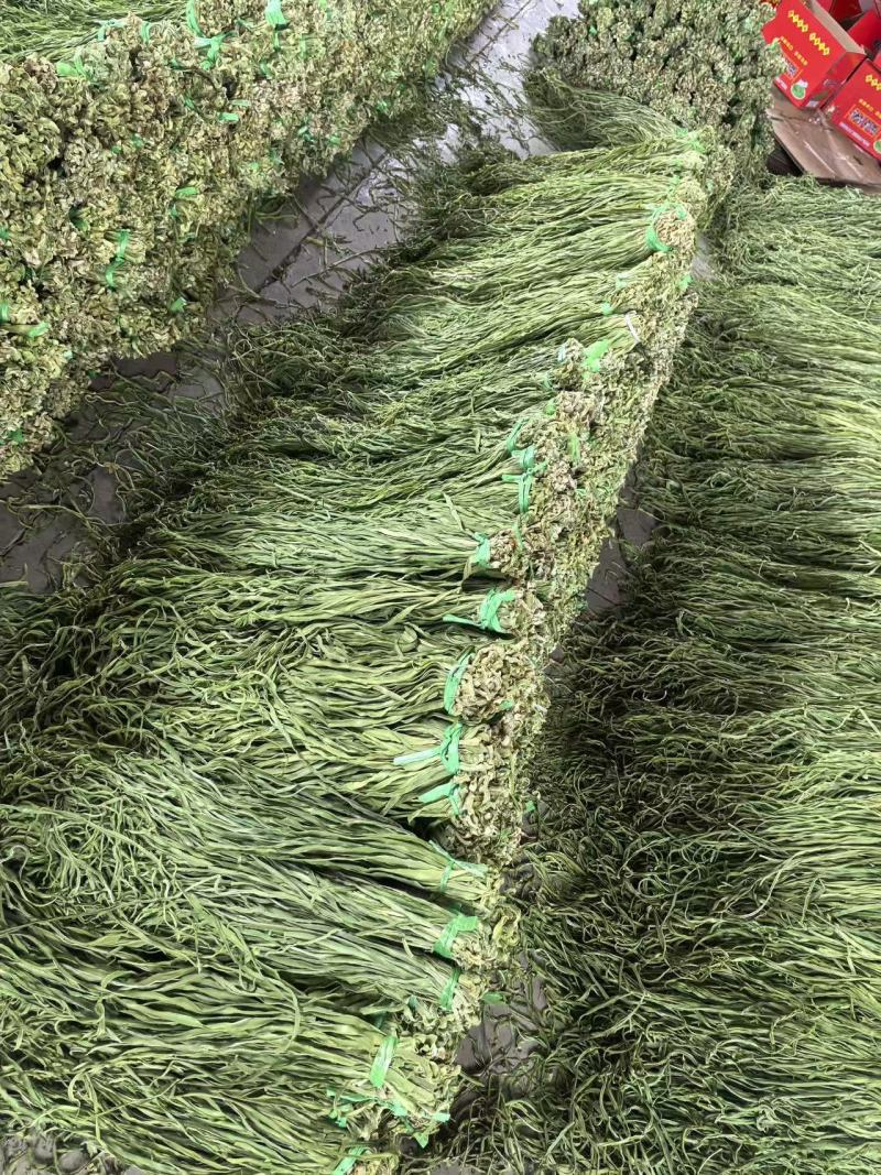 云南大理贡菜干产地直供自家工厂量大从优