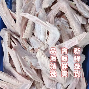 鹅翅膀厂家直发，规格齐全品质保证，欢迎来电洽谈更优惠！