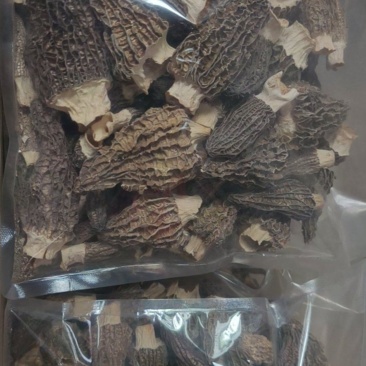 干货羊肚菌，规格齐全，量大，常年供应