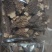 干货羊肚菌，规格齐全，量大，常年供应
