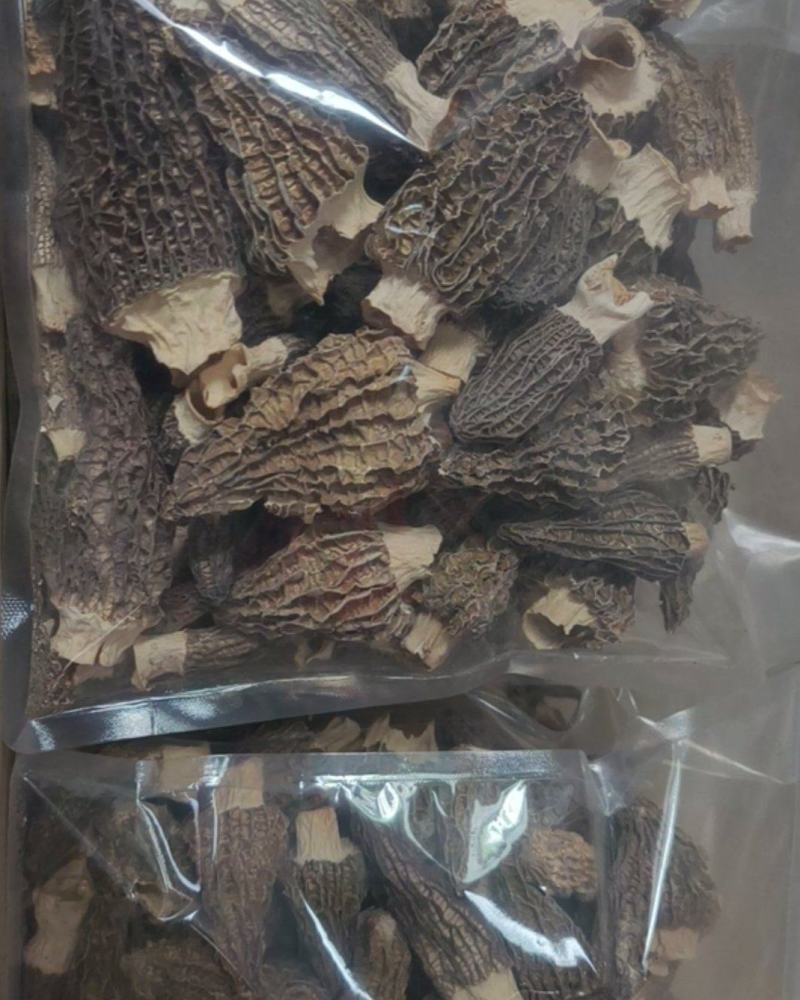 干货羊肚菌，规格齐全，量大，常年供应