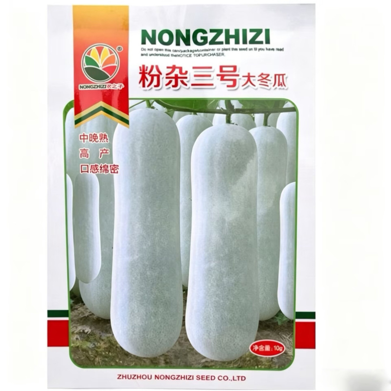 粉杂三号大冬瓜种子中晚熟粉皮大冬瓜种籽长圆柱形白皮大冬瓜