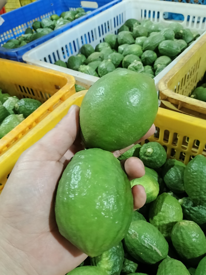 广东香水柠檬一级果