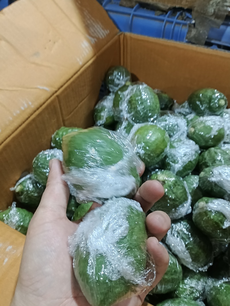 广东香水柠檬一级果