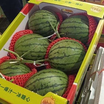 冰糖子,2K西瓜