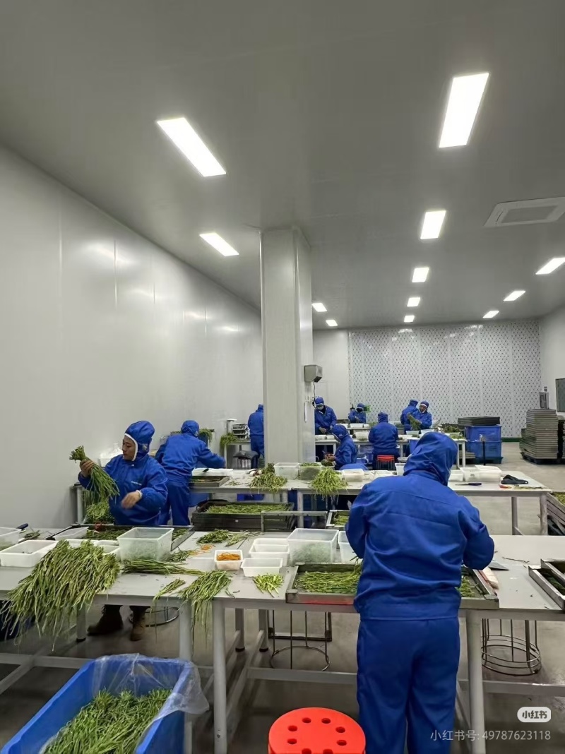 云南大理贡菜干产地直供自家工厂量大从优