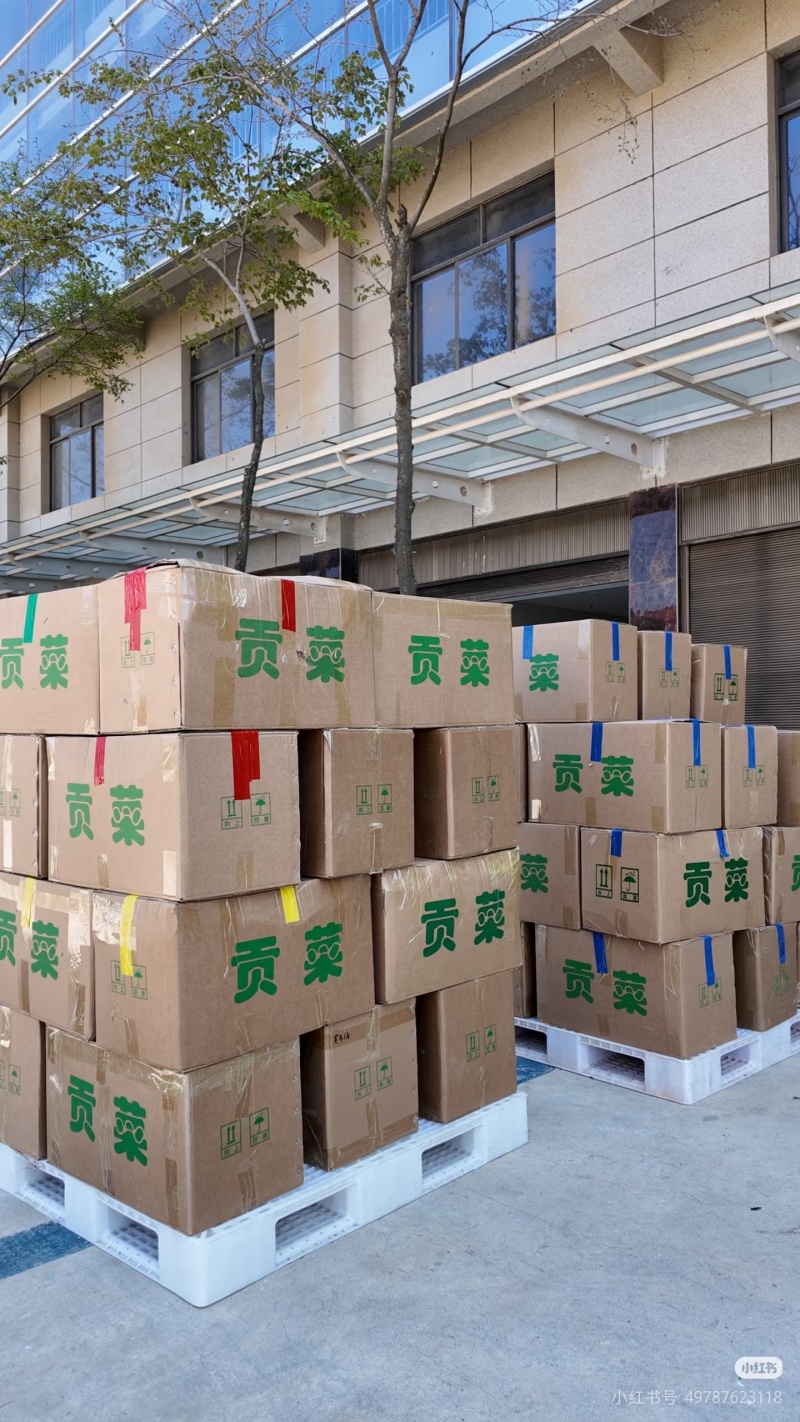云南大理贡菜干产地直供自家工厂量大从优