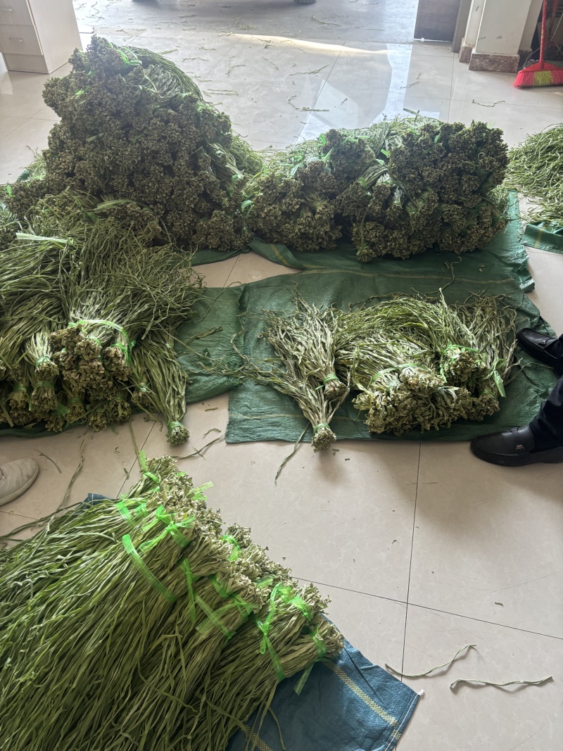 云南大理贡菜干产地直供自家工厂量大从优