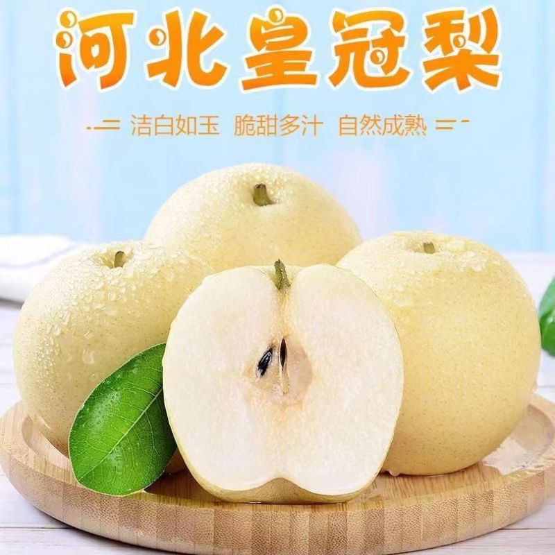 河北正宗皇冠梨皮薄汁甜产地直供大果脆甜整车批发