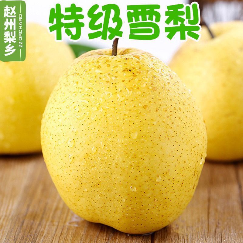河北新鲜雪花梨清甜脆嫩个头匀称商超生鲜优选货源