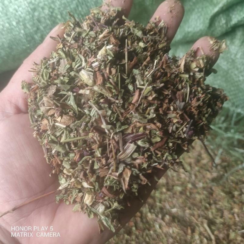 龙胆草