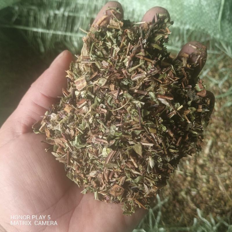 龙胆草
