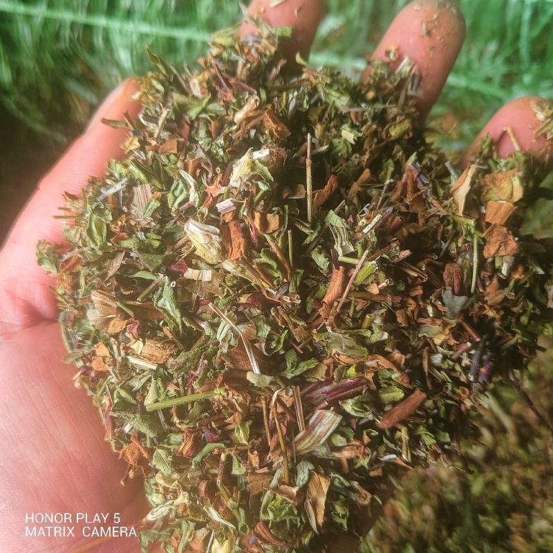 龙胆草