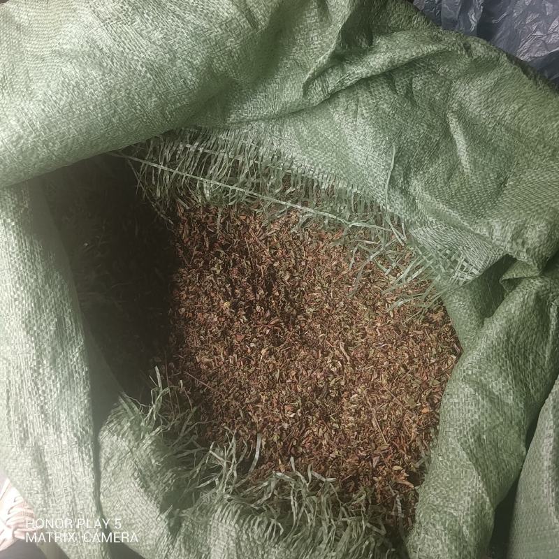 龙胆草