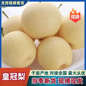 河北正宗皇冠梨皮薄汁甜产地直供大果脆甜整车批发