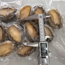 带壳鲍鱼单冻鲍