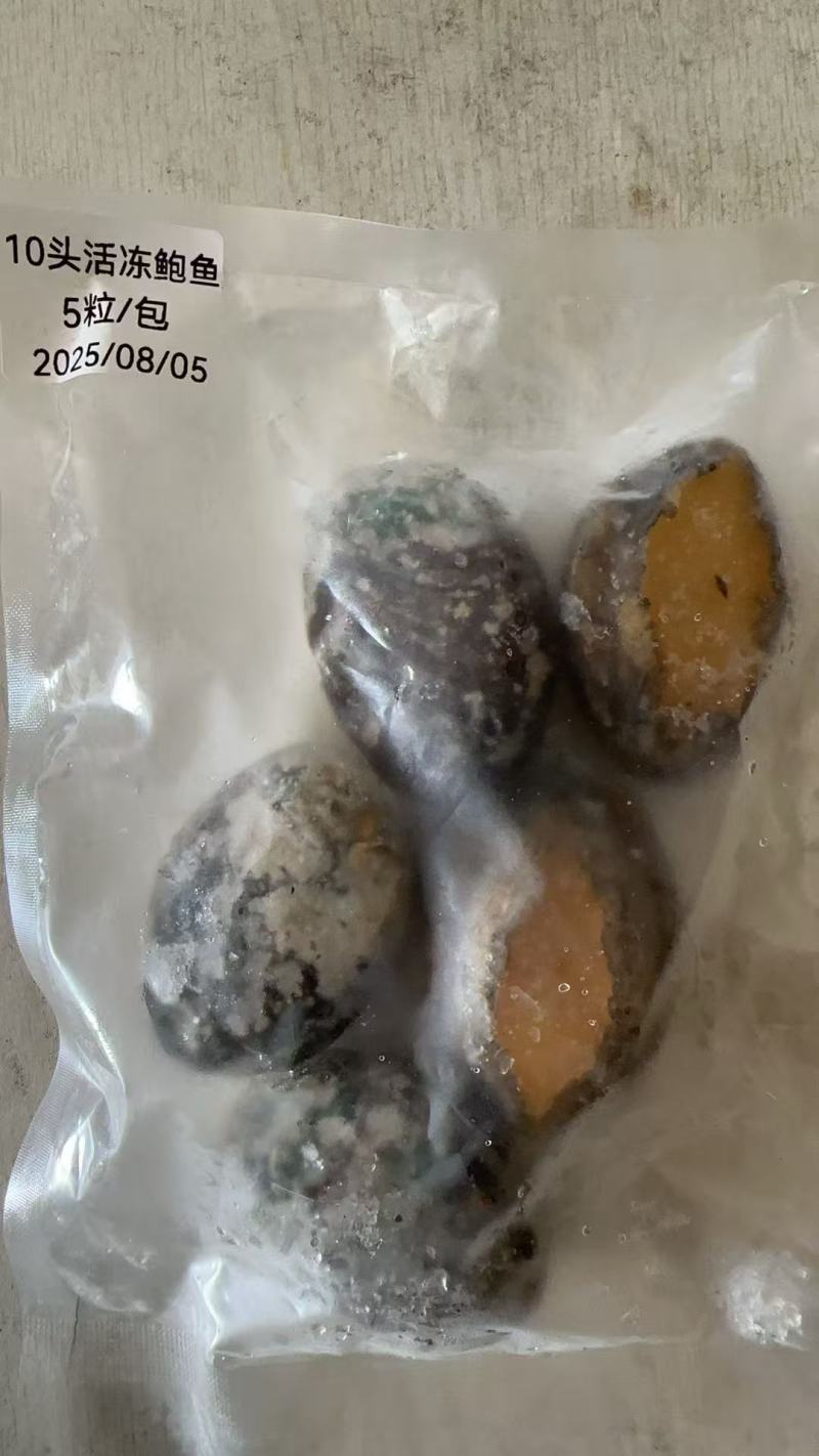 带壳鲍鱼单冻鲍
