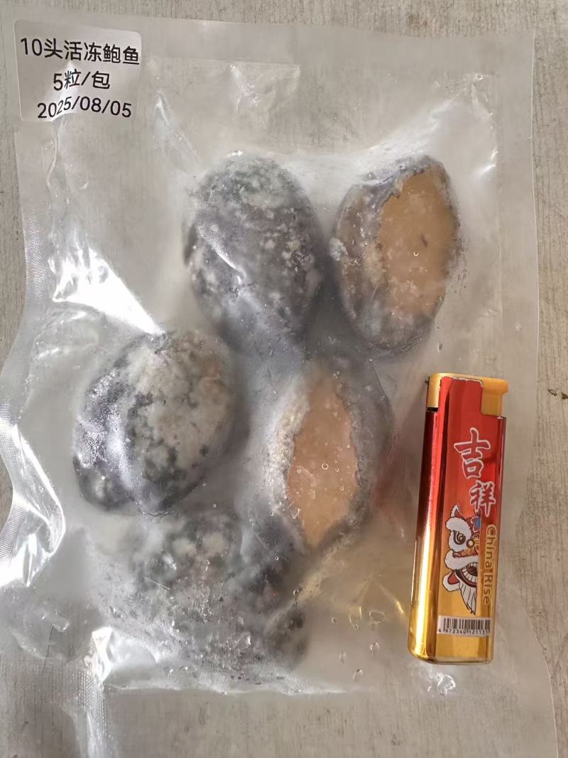 带壳鲍鱼单冻鲍