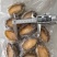 带壳鲍鱼单冻鲍